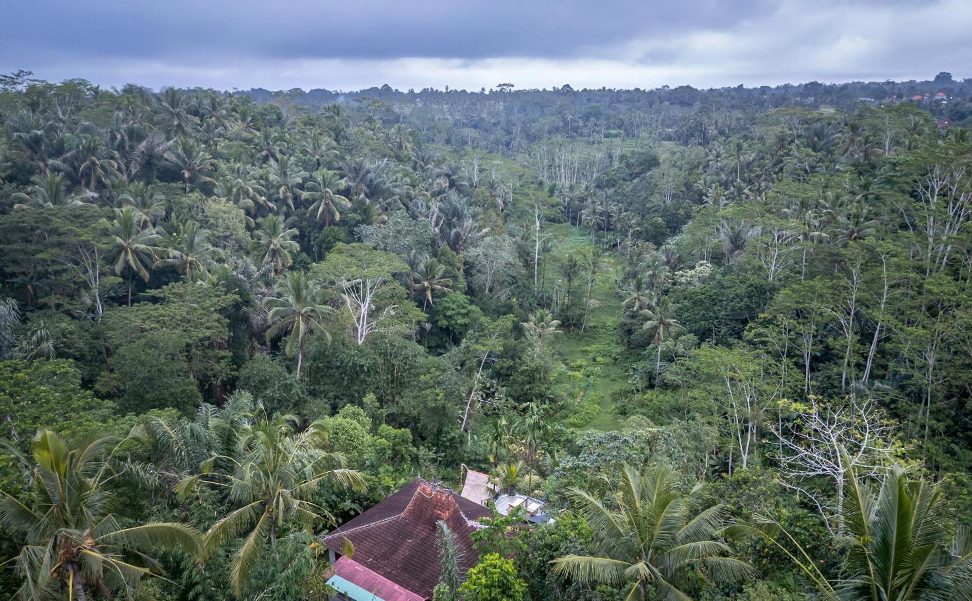 Yoga Maya Villa Payangan Exterior foto